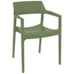 Αγόρασε TULUM OLIVE GREEN ΠΟΛΥΘΡΟΝΑ ΠΟΛ/ΝΙΟΥ 55X52X79εκ. σε μοναδική τιμή στο clickforshop.gr