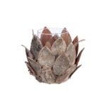 Φανάρι Καταιγίδας Tenon "Cone" Ξύλο Ecru PU 4 H. 15 cm D. 18 cm - Image 2