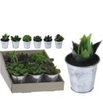 Βρες το Φυτό Τεχνητό ArteLibre Σε Μεταλλικό Γλαστράκι 6x6x10cm Σε 6 Ποικιλίες σε μοναδική τιμή στο clickforshop.gr