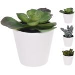 Βρες το Φυτό Τεχνητό ArteLibre Σε Λευκό Γλαστράκι 7x7x15cm Σε 6 Ποικιλίες σε μοναδική τιμή στο clickforshop.gr