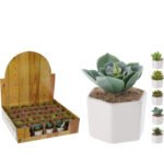 Βρες το Φυτό Τεχνητό ArteLibre Σε Κεραμικό Γλάστρακι Λευκό PP/Foam Σε 5 Συνδυασμούς σε μοναδική τιμή στο clickforshop.gr