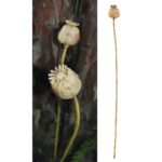 Κλαδί Σενέκιο ArteLibre Τεχνητό Καφέ 55cm - Image 2