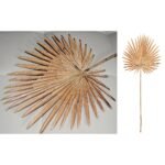 Κλαδί Φοίνικας ArteLibre Τεχνητό Εκρού 36x91cm - Image 2