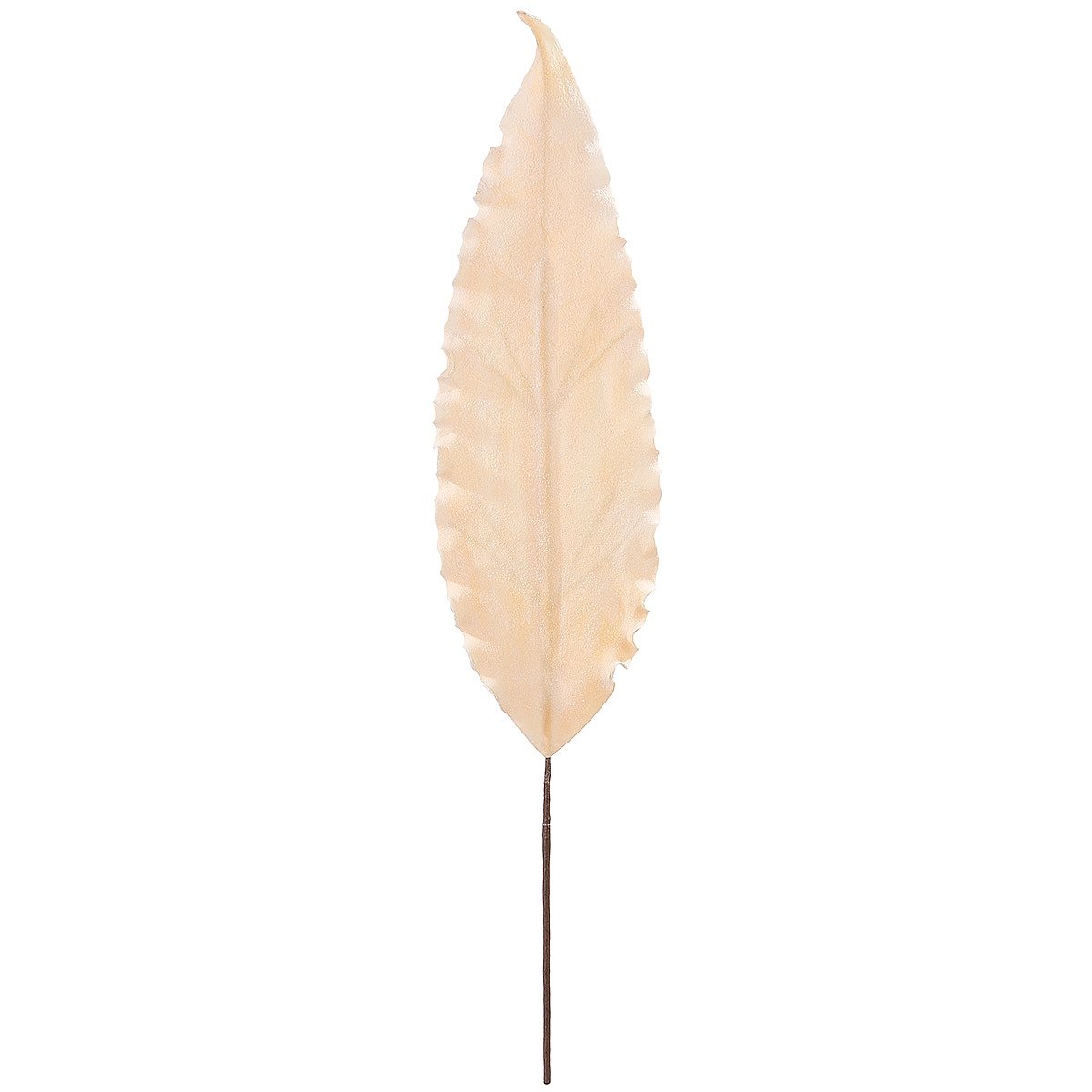 Φυτό ArteLibre Τεχνητό Κρεμ Foam 18x2x82cm Βρες το Φυτό ArteLibre Τεχνητό Κρεμ Foam 18x2x82cm σε μοναδική τιμή στο clickforshop.gr