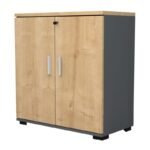 Βρες το Ντουλάπι γραφείου με κλειδαριά επαγγελματικό Venturo Megapap χρώμα ανθρακί - φυσικό οξιάς 80x40x80εκ. σε μοναδική τιμή στο clickforshop.gr