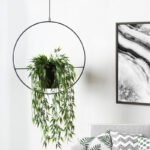 Βρες το Βάση - ζαρντινιέρα κρεμαστή μεταλλική για φυτά εσωτερικού και εξωτερικού χώρου χρώμα μαύρο Φ30εκ. σε μοναδική τιμή στο clickforshop.gr