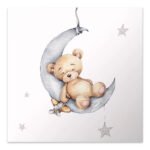 Βρες το Πίνακας σε καμβά "Baby Bear" Megapap ψηφιακής εκτύπωσης 40x40x3εκ. σε μοναδική τιμή στο clickforshop.gr
