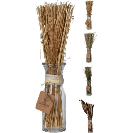 Βρες το Φυτό Σε Γυάλινο Δοχείο ArteLibre Σε 4 Ποικιλίες σε μοναδική τιμή στο clickforshop.gr