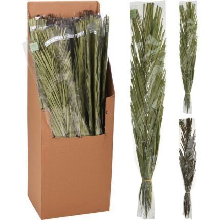 Βρες το Φύλλα ArteLibre Khajur 95-100cm Δεμένα Σε Χάρτινη Θήκη 36Τμχ Σε 3 Ποικιλίες σε μοναδική τιμή στο clickforshop.gr