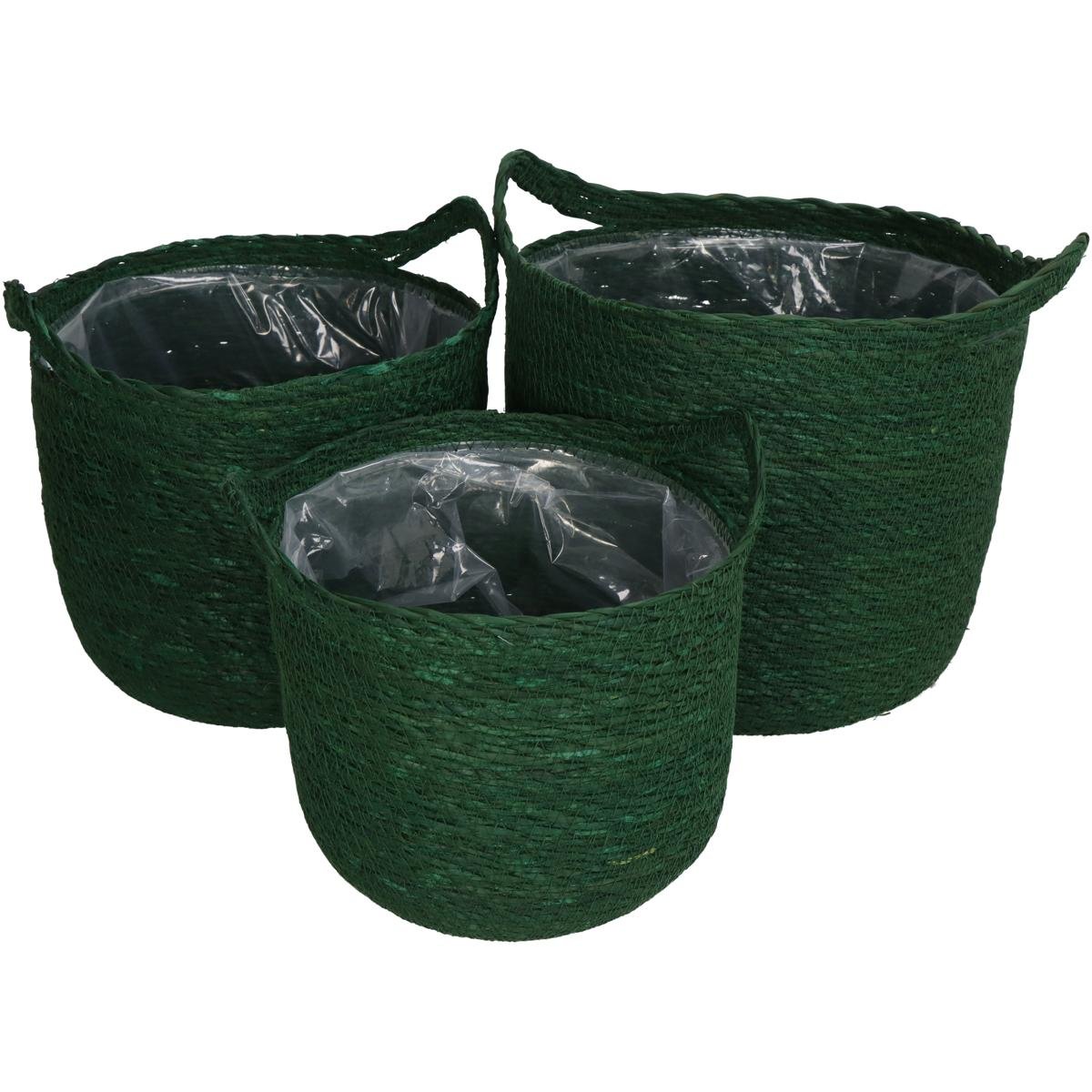 Καλάθι ArteLibre Πράσινο Seagrass 25x25x24cm Σετ 3Τμχ Βρες το Καλάθι ArteLibre Πράσινο Seagrass 25x25x24cm Σετ 3Τμχ σε μοναδική τιμή στο clickforshop.gr