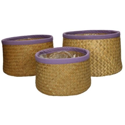 Βρες το Κασπώ ArteLibre Λιλά Seagrass 27x27x17cm Σετ 3Τμχ σε μοναδική τιμή στο clickforshop.gr