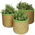 Κασπώ ArteLibre Μέντα Seagrass 27x27x17cm Σετ 3Τμχ - Image 2
