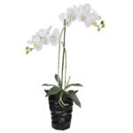 Κασπώ ArteLibre Μαύρο Κεραμικό 19.8x19.2x18cm - Image 2