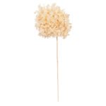 Αγόρασε ΔΙΑΚΟΣΜΗΤΙΚΟ ΑΠΟΞΗΡΑΜΕΝΟ ΛΟΥΛΟΥΔΙ ΟΡΤΑΝΣΙΑ HM7954 ΕΚΡΟΥ 55Υεκ. σε μοναδική τιμή στο clickforshop.gr