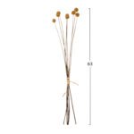 ΔΙΑΚΟΣΜΗΤΙΚΟ ΑΠΟΞΗΡΑΜΕΝΟ ΜΠΟΥΚΕΤΟ CRASPEDIA GLOBOSA HM7956 ΚΙΤΡΙΝΟ 63Υεκ. - Image 2