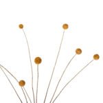 ΔΙΑΚΟΣΜΗΤΙΚΟ ΑΠΟΞΗΡΑΜΕΝΟ ΜΠΟΥΚΕΤΟ CRASPEDIA GLOBOSA HM7956 ΚΙΤΡΙΝΟ 63Υεκ. - Image 3