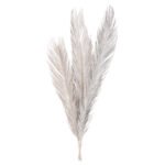 Αγόρασε ΔΙΑΚΟΣΜΗΤΙΚΟ ΑΠΟΞΗΡΑΜΕΝΟ ΣΕΤ 3 ΦΥΛΛΩΝ ΦΟΙΝΙΚΑ HM7957 ΑΣΗΜΙ 110Υεκ. σε μοναδική τιμή στο clickforshop.gr