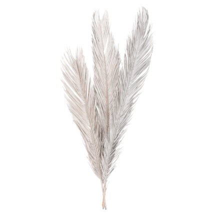 Αγόρασε ΔΙΑΚΟΣΜΗΤΙΚΟ ΑΠΟΞΗΡΑΜΕΝΟ ΣΕΤ 3 ΦΥΛΛΩΝ ΦΟΙΝΙΚΑ HM7957 ΑΣΗΜΙ 110Υεκ. σε μοναδική τιμή στο clickforshop.gr