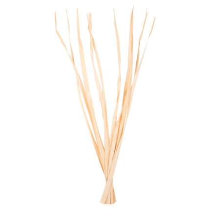 Αγόρασε ΔΙΑΚΟΣΜΗΤΙΚΟ ΜΠΟΥΚΕΤΟ 10ΤΜΧ ΑΠΟΞΗΡΑΜΕΝΩΝ ΜΑΚΡΥΦΥΛΛΩΝ HM7964 ΦΥΣΙΚΟ 120Υεκ σε μοναδική τιμή στο clickforshop.gr