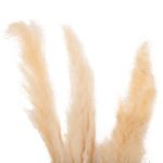 ΔΙΑΚΟΣΜΗΤΙΚΟ ΜΠΟΥΚΕΤΟ ΑΠΟΞΗΡΑΜΕΝΑ ΚΑΛΑΜΙΑ HM7961 ΛΕΥΚΟ 3TMX 140Υεκ. - Image 3