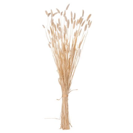 Αγόρασε ΔΙΑΚΟΣΜΗΤΙΚΟ ΜΠΟΥΚΕΤΟ ΑΠΟΞΗΡΑΜΕΝΟ HM7959 RABBIT TAIL- CREAM 50gr 76Υεκ. σε μοναδική τιμή στο clickforshop.gr