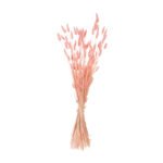 Αγόρασε ΔΙΑΚΟΣΜΗΤΙΚΟ ΜΠΟΥΚΕΤΟ ΑΠΟΞΗΡΑΜΕΝΟ HM7960 RABBIT TAIL-PINK 75Υεκ. σε μοναδική τιμή στο clickforshop.gr