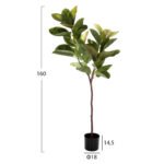 5-160Υεκ σε μοναδική τιμή στο clickforshop.gr