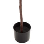 ΔΙΑΚΟΣΜΗΤΙΚΟ ΣΥΝΘΕΤΙΚΟ ΦΥΤΟ HM4000 ΔΡΥΣ ΣΕ ΓΛΑΣΤΡΑ Φ18x14,5-160Υεκ - Image 5