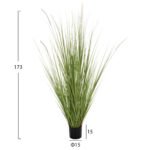 ΔΙΑΚΟΣΜΗΤΙΚΟ ΣΥΝΘΕΤΙΚΟ ΦΥΤΟ HM4017 BRISTLEGRASS ΣΕ ΓΛΑΣΤΡΑ 173Υεκ. - Image 2