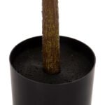 ΔΙΑΚΟΣΜΗΤΙΚΟ ΣΥΝΘΕΤΙΚΟ ΦΥΤΟ HM4019 ΛΕΜΟΝΙΑ ΣΕ ΓΛΑΣΤΡΑ Φ15x12,5-90Υεκ. - Image 5