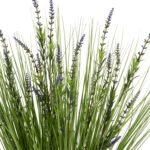 5-70Y εκ. σε μοναδική τιμή στο clickforshop.gr