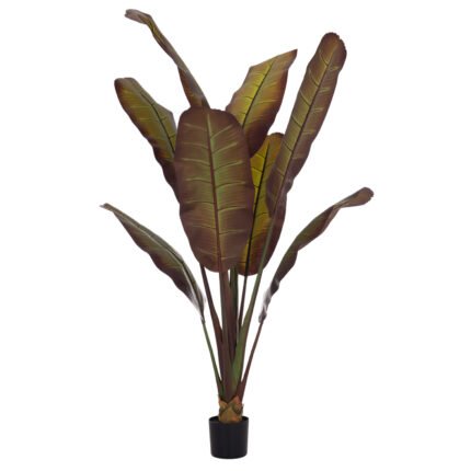 Αγόρασε ΔΙΑΚΟΣΜΗΤΙΚΟ ΣΥΝΘΕΤΙΚΟ ΦΥΤΟ HM4740 ΙΑΠΩΝΙΚΗ ΜΠΑΝΑΝΑ ΣΕ ΓΛΑΣΤΡΑ 85x75x225Υεκ. σε μοναδική τιμή στο clickforshop.gr