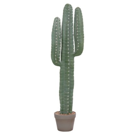 Αγόρασε ΔΙΑΚΟΣΜΗΤΙΚΟ ΣΥΝΘΕΤΙΚΟ ΦΥΤΟ HM4742 ΚΑΚΤΟΣ ΜΕ ΓΛΑΣΤΡΑ 17