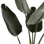 ΔΙΑΚΟΣΜΗΤΙΚΟ ΣΥΝΘΕΤΙΚΟ ΦΥΤΟ HM7969 ΣΤΡΕΛΙΤΣΙΑ ΜΕ ΓΛΑΣΤΡΑ 115Υεκ. - Image 3