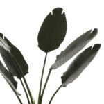 ΔΙΑΚΟΣΜΗΤΙΚΟ ΣΥΝΘΕΤΙΚΟ ΦΥΤΟ HM7969 ΣΤΡΕΛΙΤΣΙΑ ΜΕ ΓΛΑΣΤΡΑ 115Υεκ. - Image 4