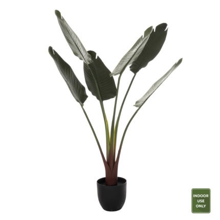 Αγόρασε ΔΙΑΚΟΣΜΗΤΙΚΟ ΣΥΝΘΕΤΙΚΟ ΦΥΤΟ HM7969 ΣΤΡΕΛΙΤΣΙΑ ΜΕ ΓΛΑΣΤΡΑ 115Υεκ. σε μοναδική τιμή στο clickforshop.gr