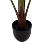 ΔΙΑΚΟΣΜΗΤΙΚΟ ΣΥΝΘΕΤΙΚΟ ΦΥΤΟ HM7969 ΣΤΡΕΛΙΤΣΙΑ ΜΕ ΓΛΑΣΤΡΑ 115Υεκ. - Image 6