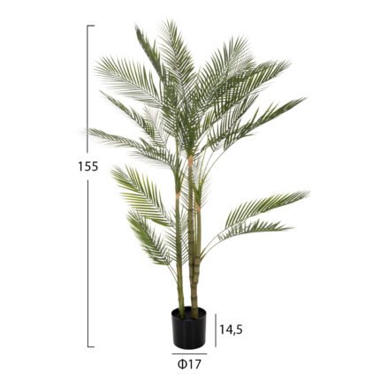 5-155Υεκ. σε μοναδική τιμή στο clickforshop.gr