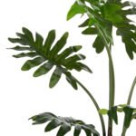 ΔΙΑΚΟΣΜΗΤΙΚΟ ΣΥΝΘΕΤΙΚΟ ΦΥΤΟ HM7971 ΠΛΑΤΥΦΥΛΛΟ ΣΕ ΓΛΑΣΤΡΑ 96Υεκ. - Image 4