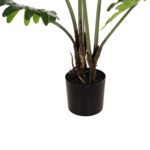 ΔΙΑΚΟΣΜΗΤΙΚΟ ΣΥΝΘΕΤΙΚΟ ΦΥΤΟ HM7971 ΠΛΑΤΥΦΥΛΛΟ ΣΕ ΓΛΑΣΤΡΑ 96Υεκ. - Image 5