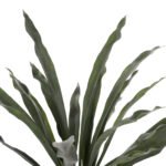 ΔΙΑΚΟΣΜΗΤΙΚΟ ΣΥΝΘΕΤΙΚΟ ΦΥΤΟ HM7975 ΑΣΠΛΕΝΙΟ (ΦΥΛΛΙΤΗΣ Ή ΦΤΕΡΗ) ΣΕ ΓΛΑΣΤΡΑ 137Υεκ. - Image 3