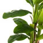 ΔΙΑΚΟΣΜΗΤΙΚΟ ΣΥΝΘΕΤΙΚΟ ΦΥΤΟ HM7977 ΔΕΝΤΡΟ ΜΠΑΝΑΝΑΣ ΣΕ ΓΛΑΣΤΡΑ 150Υεκ. - Image 5