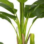 ΔΙΑΚΟΣΜΗΤΙΚΟ ΣΥΝΘΕΤΙΚΟ ΦΥΤΟ HM7978 ΔΕΝΤΡΟ ΜΠΑΝΑΝΑΣ ΣΕ ΓΛΑΣΤΡΑ 200Υεκ. - Image 5