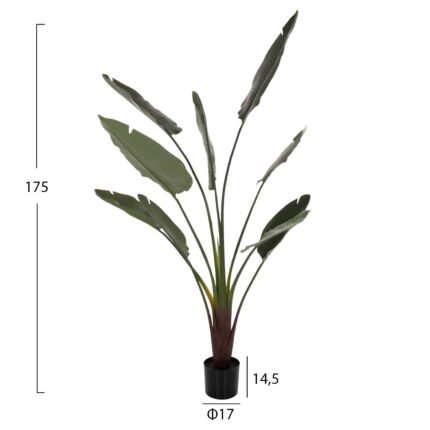 5-175Yεκ σε μοναδική τιμή στο clickforshop.gr