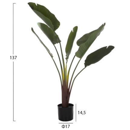 5-137Y εκ. σε μοναδική τιμή στο clickforshop.gr