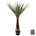 Αγόρασε ΔΙΑΚΟΣΜΗΤΙΚΟ ΣΥΝΘΕΤΙΚΟ ΦΥΤΟ HM7988 ΔΕΝΤΡΟ SISAL ΣΕ ΓΛΑΣΤΡΑ Φ23x18-180Υεκ. σε μοναδική τιμή στο clickforshop.gr