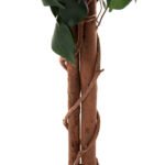 ΔΙΑΚΟΣΜΗΤΙΚΟ ΣΥΝΘΕΤΙΚΟ ΦΥΤΟ HM7992 ΔΕΝΤΡΟ ΜΠΑΝΥΑΝ ΣΕ ΓΛΑΣΤΡΑ 136Υεκ. - Image 5