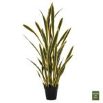 Αγόρασε ΔΙΑΚΟΣΜΗΤΙΚΟ ΣΥΝΘΕΤΙΚΟ ΦΥΤΟ HM7994.01 ΣΑΝΣΕΒΙΕΡΙΑ ΚΙΤΡΙΝΟ-ΠΡΑΣΙΝΟ ΜΕ ΓΛΑΣΤΡΑ 150Υεκ. σε μοναδική τιμή στο clickforshop.gr