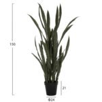 ΔΙΑΚΟΣΜΗΤΙΚΟ ΣΥΝΘΕΤΙΚΟ ΦΥΤΟ HM7994.02 ΣΑΝΣΕΒΙΕΡΙΑ ΠΡΑΣΙΝΟ ΜΕ ΓΛΑΣΤΡΑ 150Υεκ - Image 2