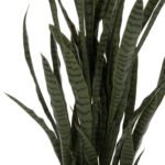 ΔΙΑΚΟΣΜΗΤΙΚΟ ΣΥΝΘΕΤΙΚΟ ΦΥΤΟ HM7994.02 ΣΑΝΣΕΒΙΕΡΙΑ ΠΡΑΣΙΝΟ ΜΕ ΓΛΑΣΤΡΑ 150Υεκ - Image 4